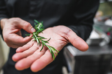 Close-up of fresh rosemary sprigs held in a person’s hands, with a blurred kitchen background.