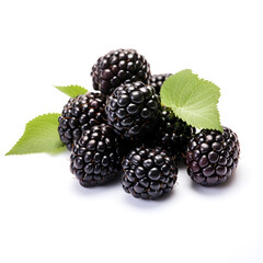 Blackberries in a pile isolated on white background