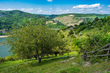 View from a hiking trail in the Rheingau Mountains near Lorch down into the Rhine Valley on a sunny spring day
