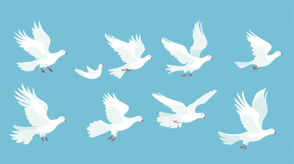 Birds flying in sky. White doves flies. Pigeons