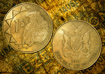 Golden coin featuring intricate design showcasing Namibian one-dollar coin