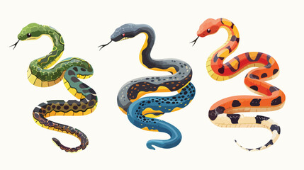 Bundle of snakes or serpents of various type size 