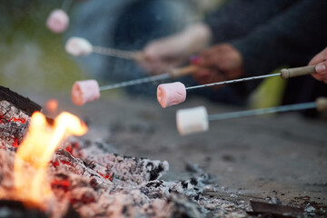 Outdoor, camping and fire to roast marshmallow for adventure, tradition and cultural enjoyment....