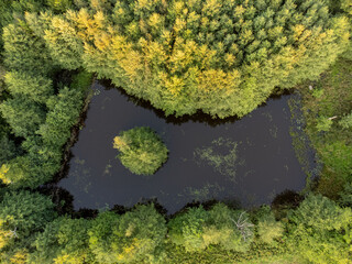 Aerial view of autumnal green field and trees in Sweden.