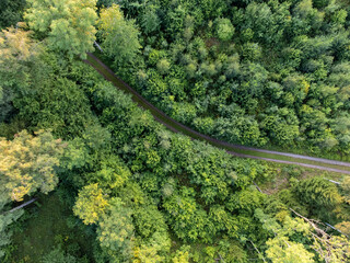 Aerial view of autumnal green field and trees in Sweden.