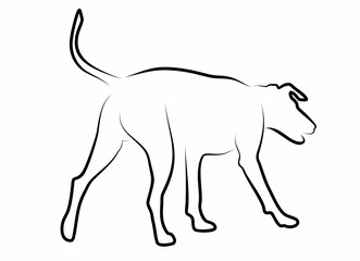 dog vector, line drawing side view illustration isolated on white background