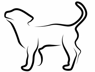 dog vector, line drawing side view illustration isolated on white background