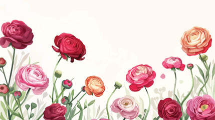 Background with ranunculus flowers. holiday wedding illustration