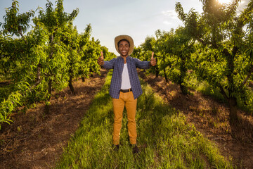 Portrait of african-american farmer in his orchard. He is cultivating plum.