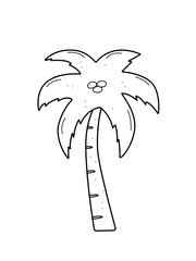 Palm tree sketch. Vector illustration of doodle style, tropical plant. Isolated on white.