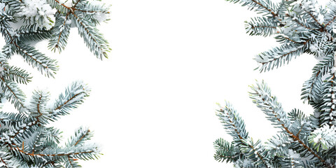 christmas tree branches with snow