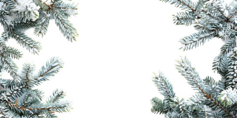 christmas tree branches with snow