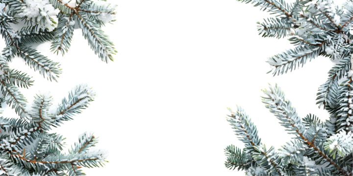 christmas tree branches with snow - Powered by Adobe