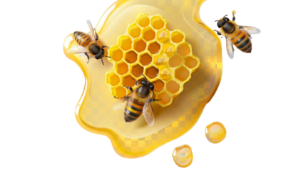  Honeycomb with bees transparent.png