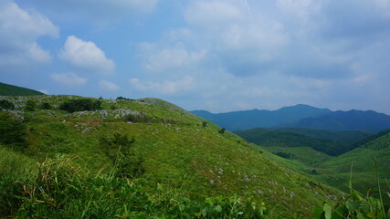 Obraz premium 夏の秋吉台