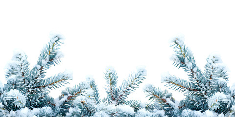christmas tree branches with snow