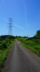 夏のいなか道