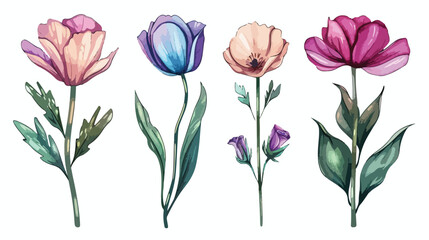 Four of detailed drawings of trendy floristic flowers