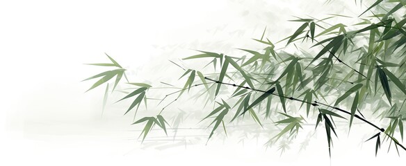Bamboo Harmony