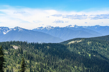 Scenic view of Hurricane Ridge in Olympic National Park, Washington, USA