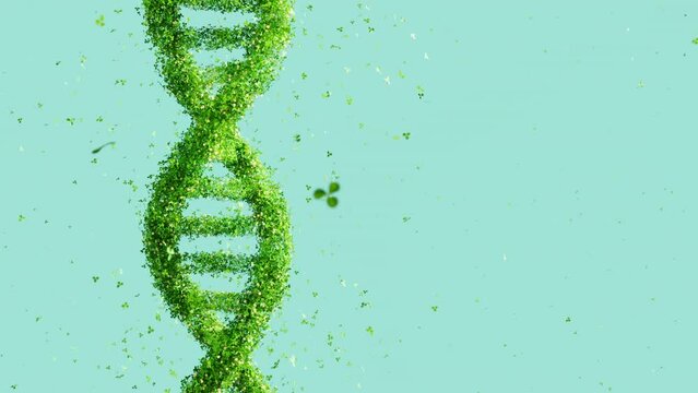 Green DNA helix rotating on a light green background. Scientific, biotechnology, genetic research themes with copy space for text.