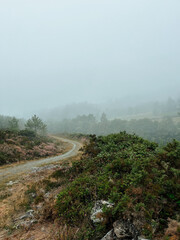 neblina en la montaña y camino