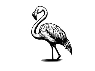 Fototapeta premium Graceful Flamingo: Flamingo Vector Illustration for Tropical Designs and Exotic Art