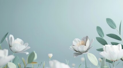 Obraz premium This image features beautiful white flowers with detailed petals and serene green foliage against a peaceful blue background, invoking a sense of tranquility and elegance