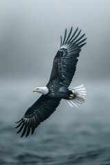 Obraz premium Scene of an eagle with translucent wings, dissolving into the sky as it soars,