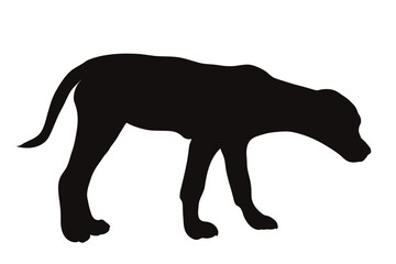 Vector silhouette of dog on white background. Symbol of pet and happy life.