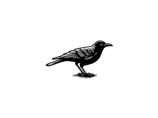 Crow Vector Illustration for Dark Designs and Mysterious Art