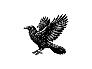 Fototapeta premium Crow Vector Illustration for Dark Designs and Mysterious Art