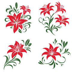 lily flower illustration vector file