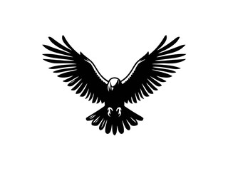 Fototapeta premium Majestic Hunter: Hawk Vector Illustration for Wildlife Designs and Powerful Art