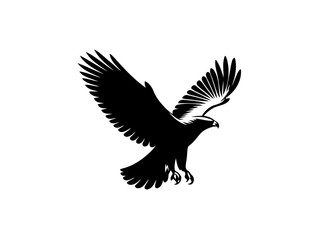 Fototapeta premium Majestic Hunter: Hawk Vector Illustration for Wildlife Designs and Powerful Art