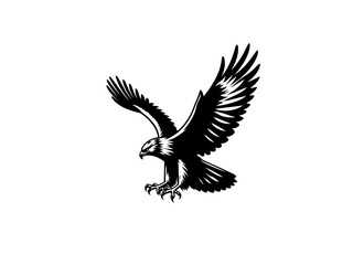 Obraz premium Majestic Hunter: Hawk Vector Illustration for Wildlife Designs and Powerful Art