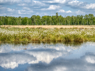 Endschleunigen am Pietzmoor