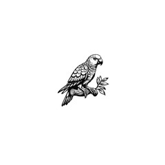 Obraz premium Tropical Beauty: Parrot Vector Illustration for Vibrant Designs and Exotic Art