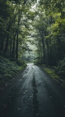 Fototapeta premium Road in forest . Nature background. Vertical background 