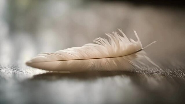 a macro shot of a fluffy down feather, focusing on its soft, wispy strands and the gentle movement as it is lightly disturbed