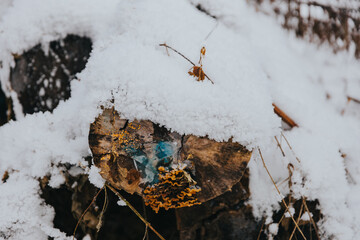 Wooden surface covered in snow with frost