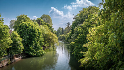 Serene river flowing through a lush forest, embraced by vibrant foliage