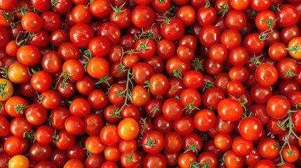 Bulk cherry tomato base.