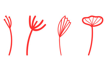 Botanical flower design set. Decorative floral icon