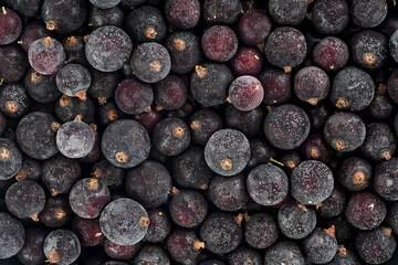 Frozen black currant berries as background, top view. Ripe black currants.