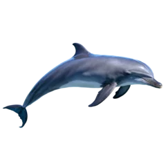 Gordijnen dolphin isolated on transparent background © Edward.S
