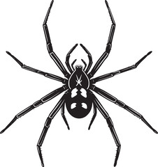 spider silhouette vector