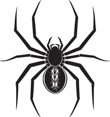 spider silhouette vector