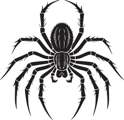 spider silhouette vector
