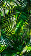 Fototapeta premium Palm leaves background